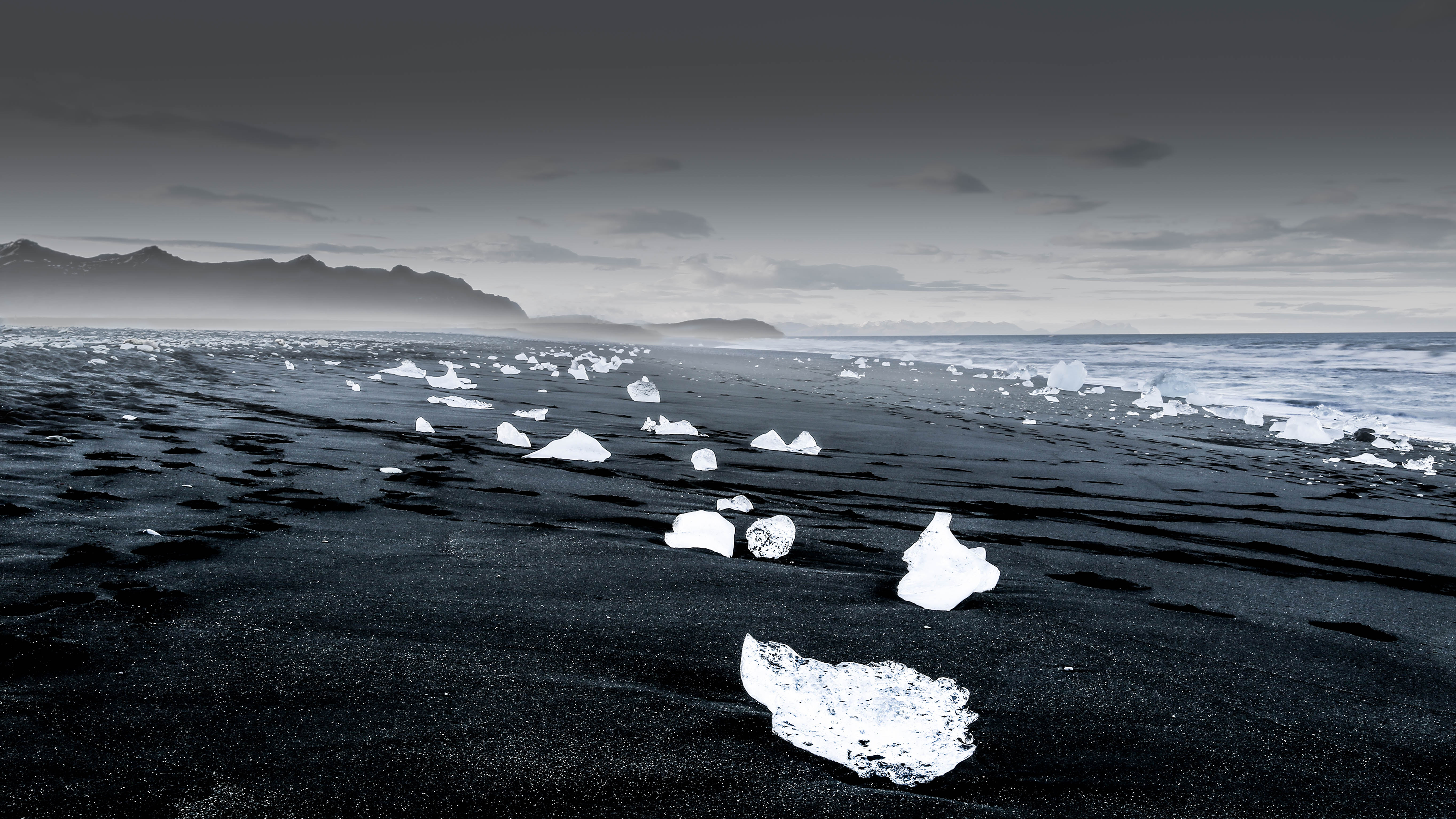 large picture of the cover