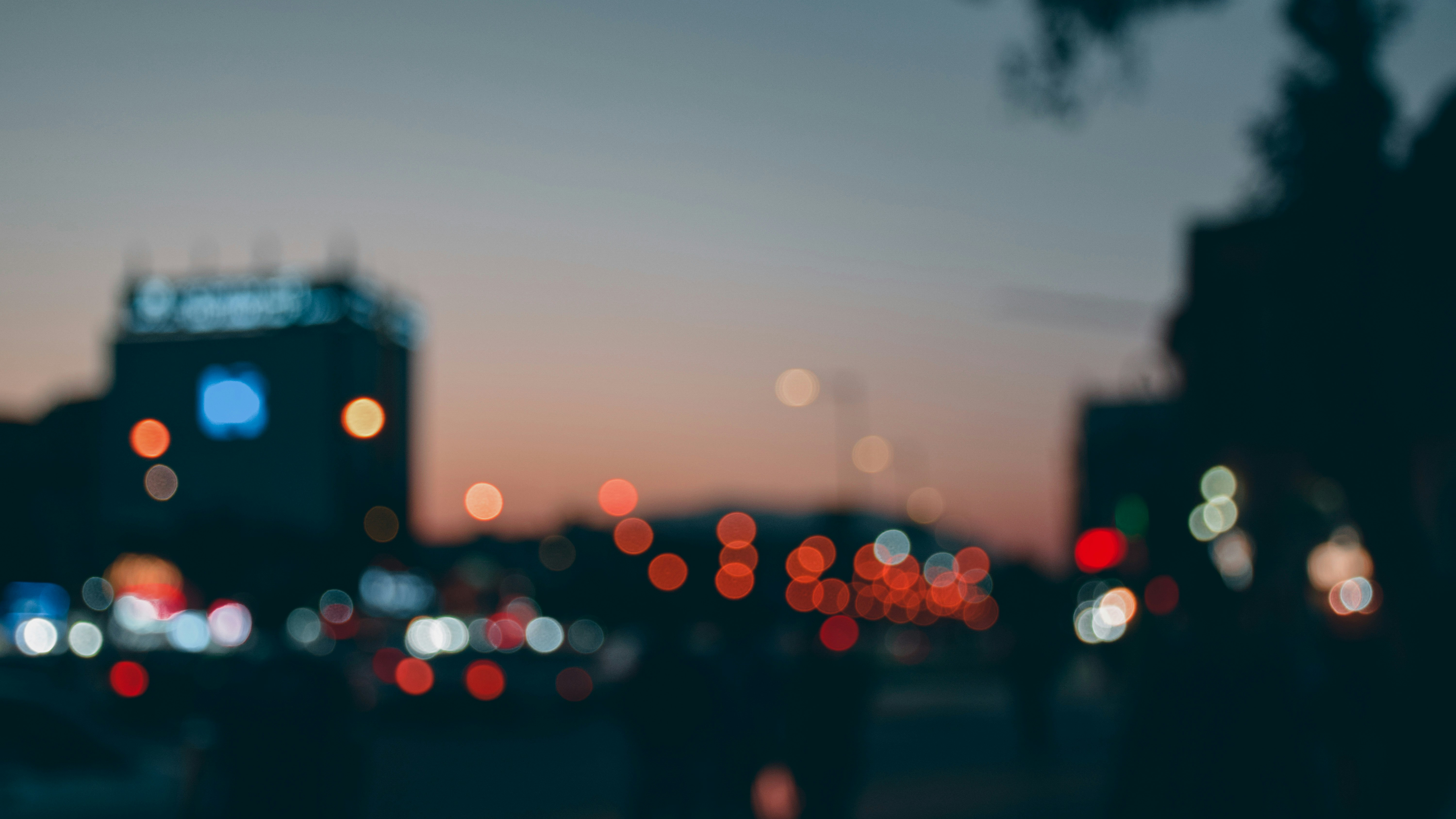 large picture of the cover